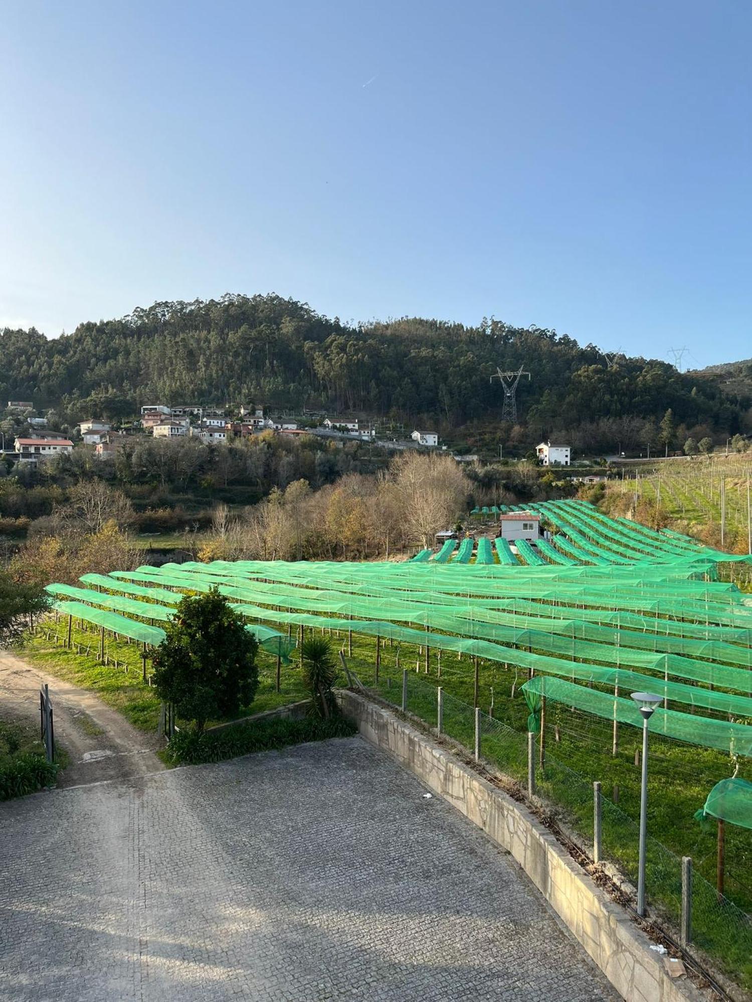 Funileiro, Apartamentos E Quartos Amares Εξωτερικό φωτογραφία